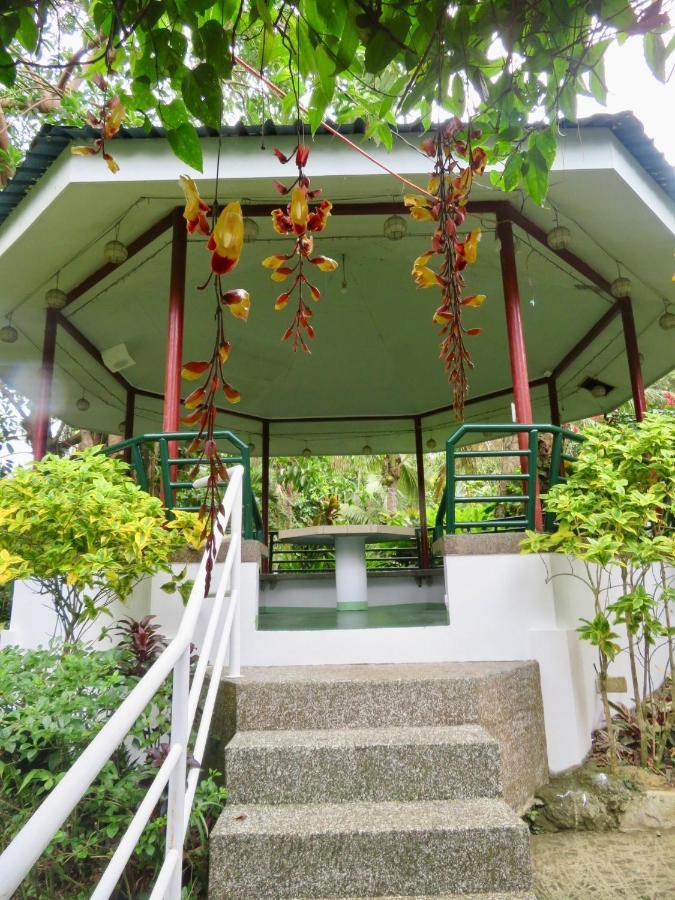 All Care Bed And Breakfast 大雅台 外观 照片