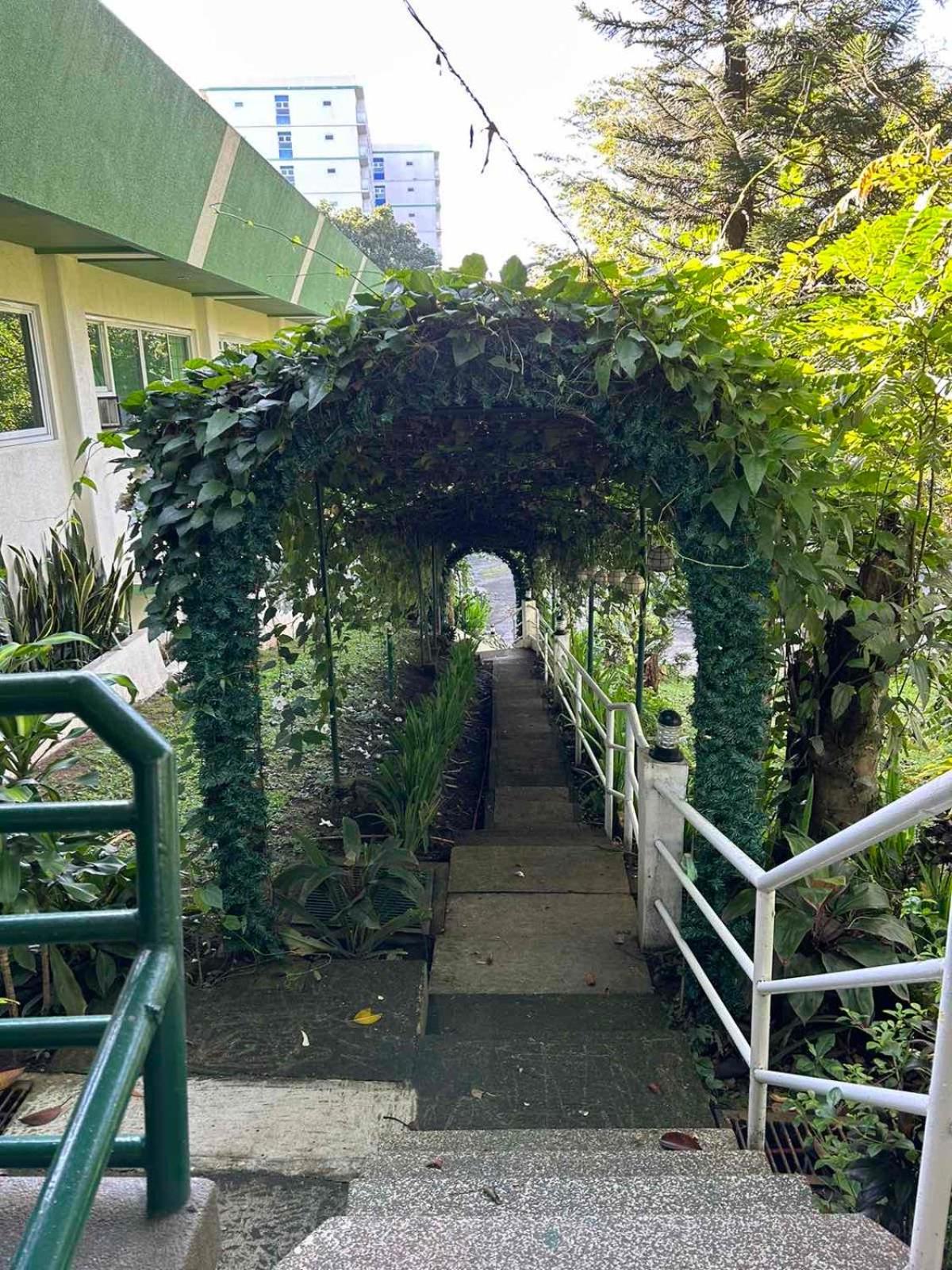 All Care Bed And Breakfast 大雅台 外观 照片